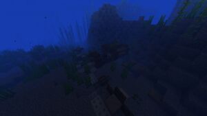 IMG 20241004 115426 002.jpg