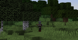 2019-12-11 19.31.32.png