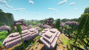 IMG 20250210 125957 270.jpg