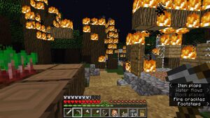 Photo 2018-09-02 15-23-28.jpg