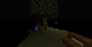 Photo 2021-09-27 22-59-43.jpg