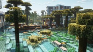 IMG 20240715 140850 550.jpg