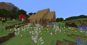 Photo 2018-11-11 16-26-48.jpg