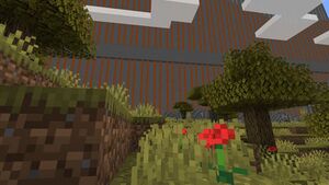 Photo 2021-04-13 23-15-24.jpg