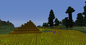 2020-01-25 13.34.54.png