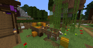 2020-01-25 13.12.21.png