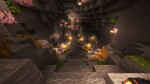 IMG 20241107 123345 448.jpg